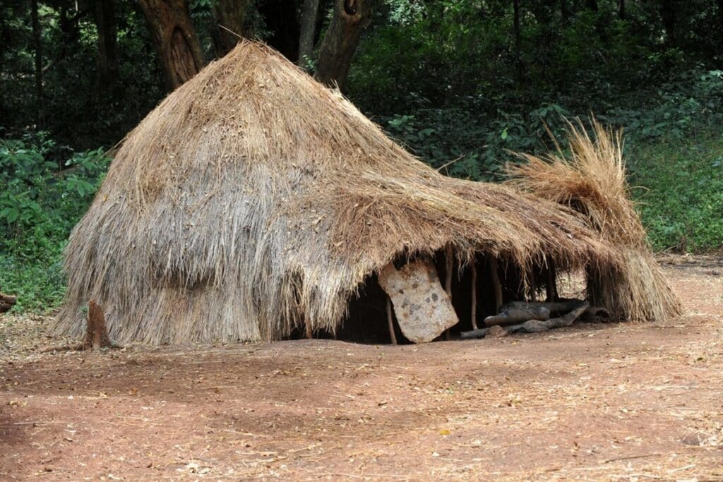 hutte kachipo
