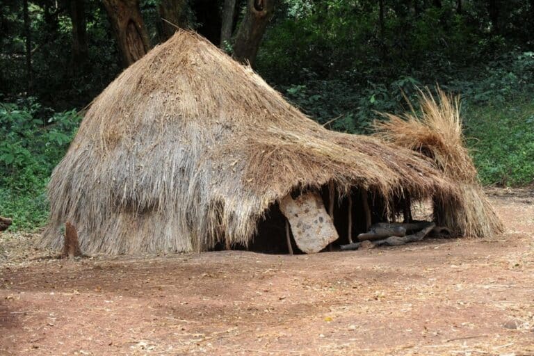 hutte kachipo