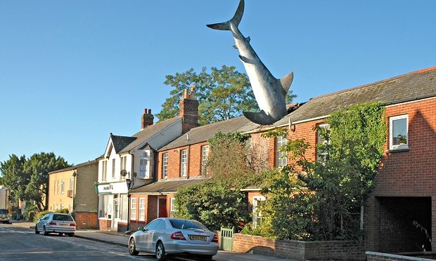 maison requin headington