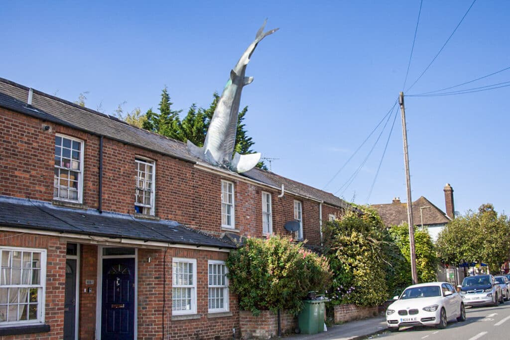 maison requin d'Oxford