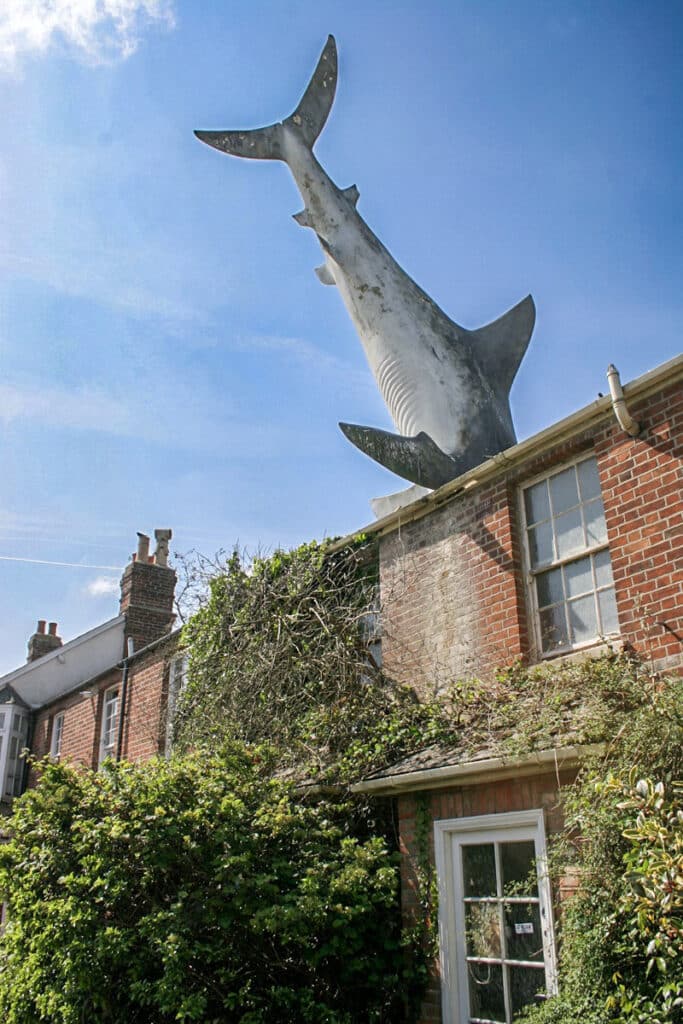maison requin d'Oxford