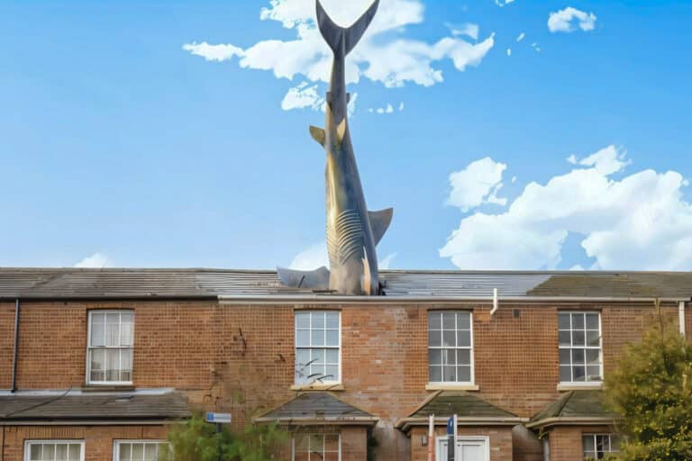 shark house à Oxford