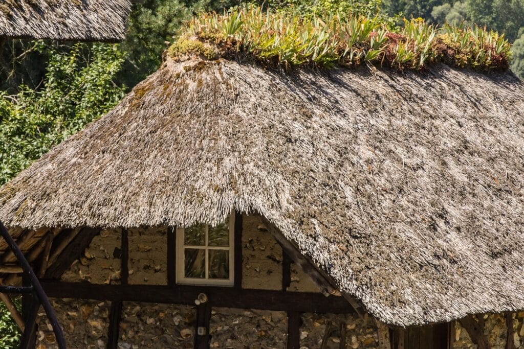 toit de chaume d'une chaumière en Normandie