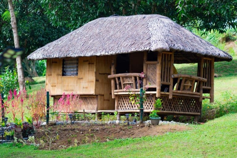 hutte nipa