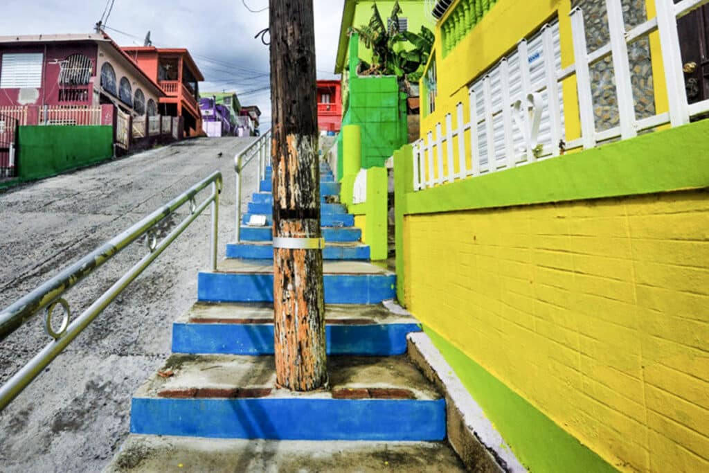 rue de yauco