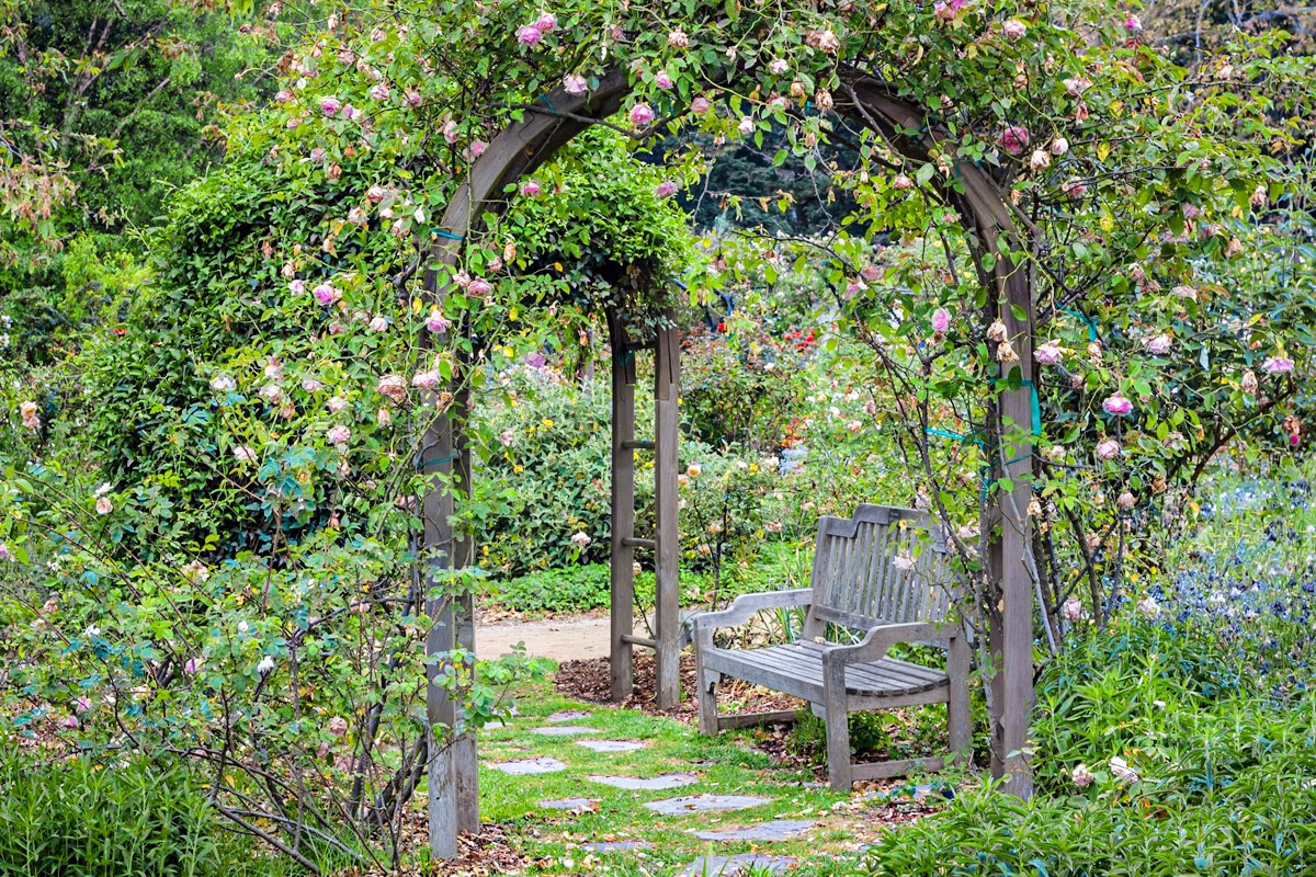 treillage ornemental dans un jardin