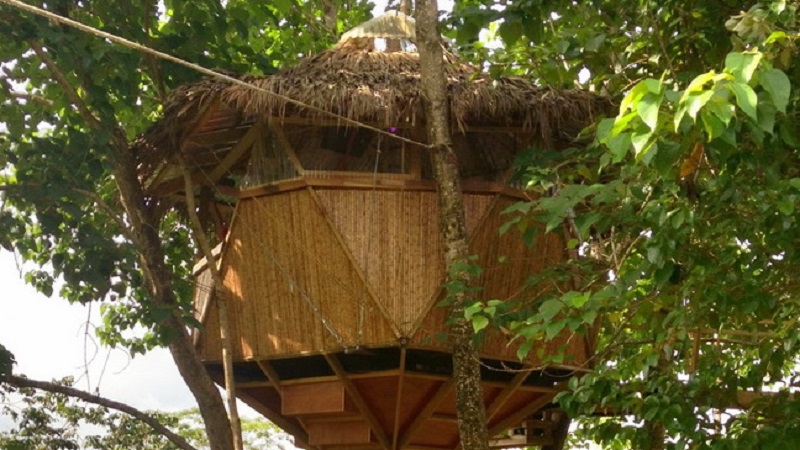 cabane arbre eco costa rica