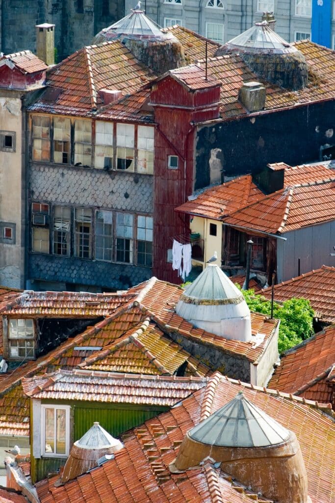 claraboias sur les toits de Porto