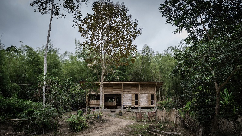 maison bambou convento