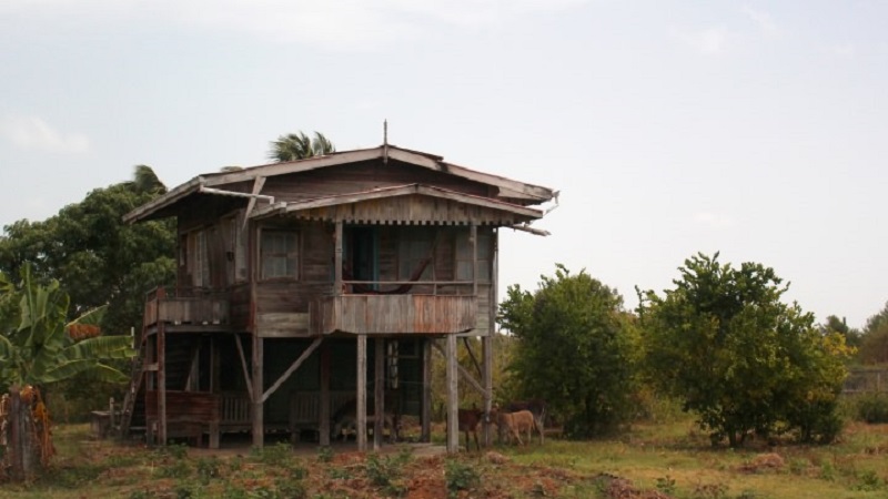 maisons guyana