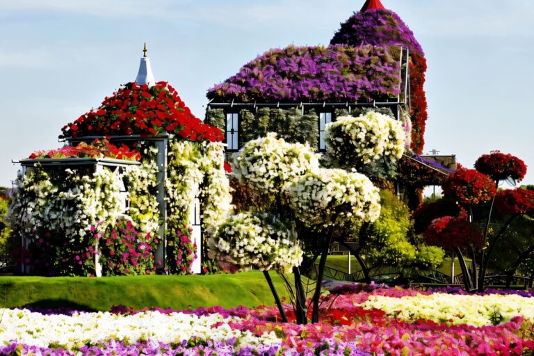Maison de fleurs à Dubaï