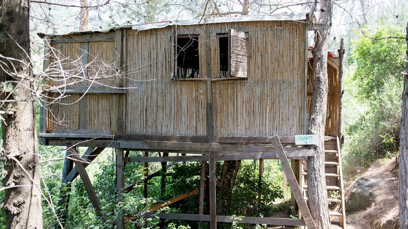 cabane bambou liban