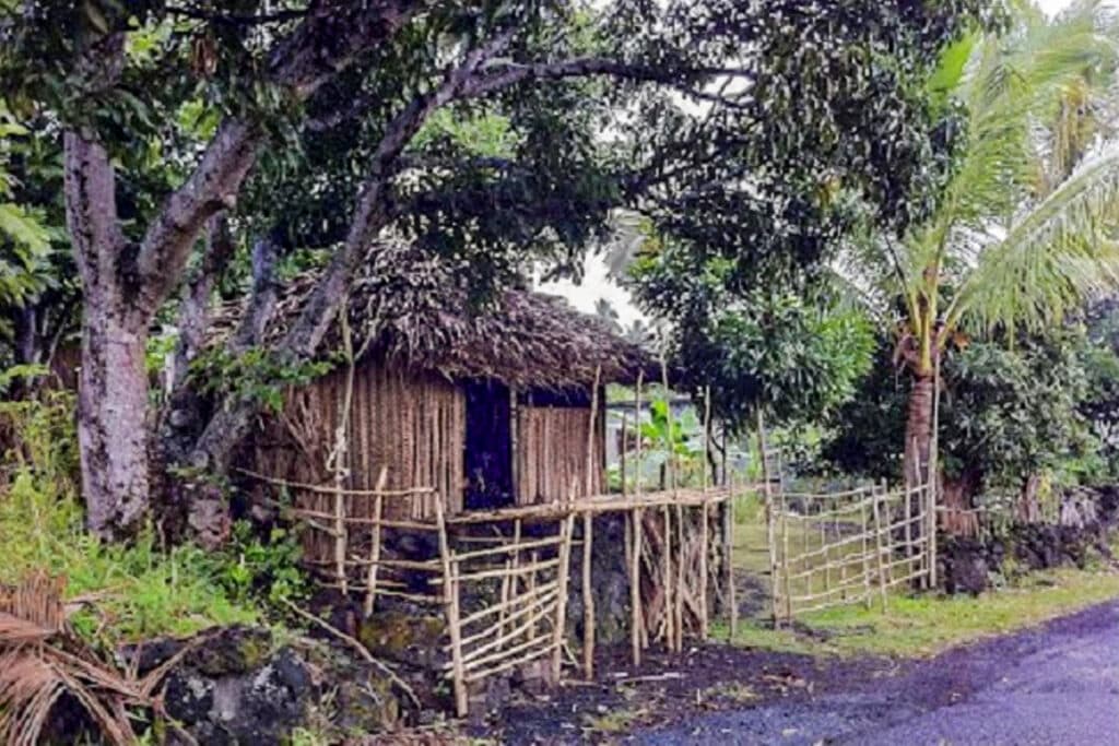 hutte traditionnelle comorienne