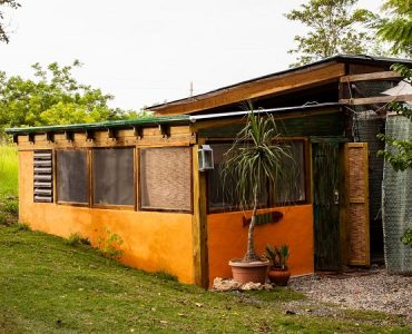jungalo cabo rojo