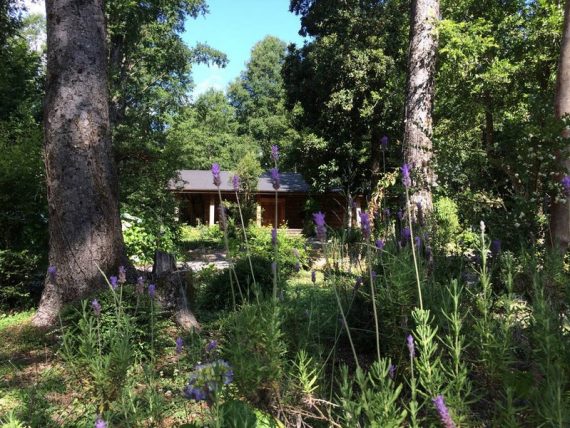 Magnifique maison en bois dans la forêt chilienne