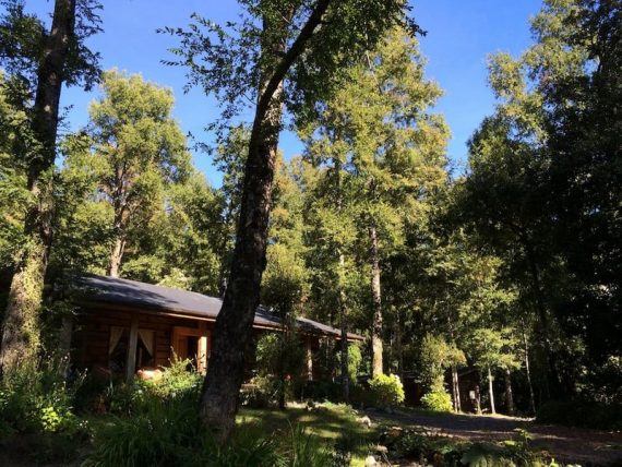 Magnifique maison en bois dans la forêt chilienne