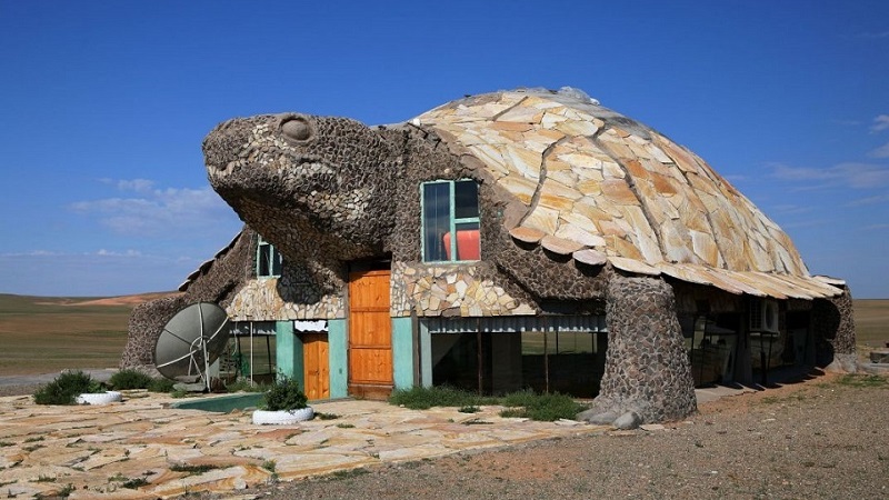 maison tortue mongolie