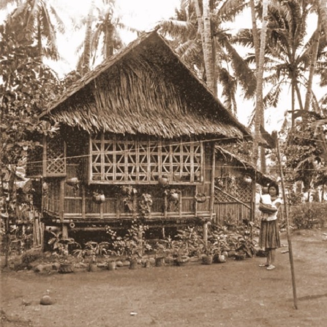 ancienne hutte nipa