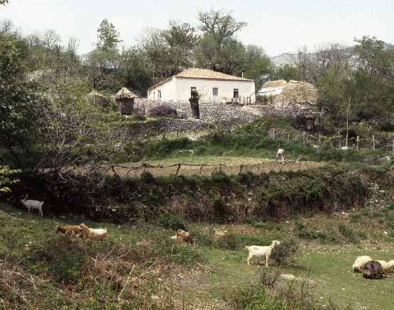 Maisons village Monténégro
