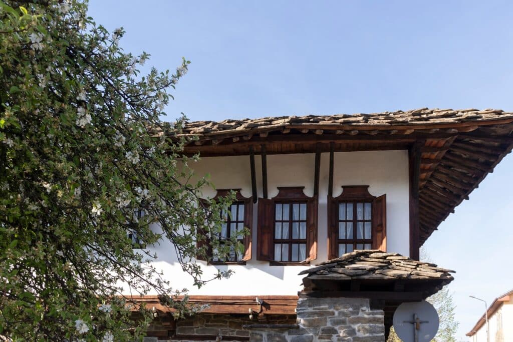 détail maison de Tryavna