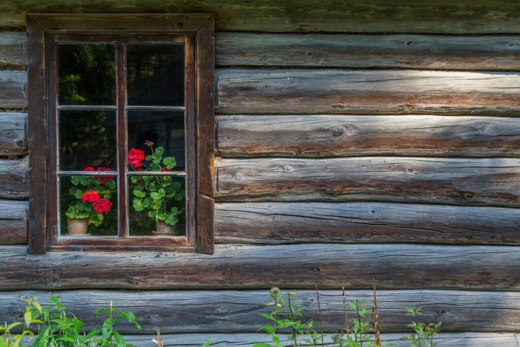 gros plan façade en rondins en Estonie