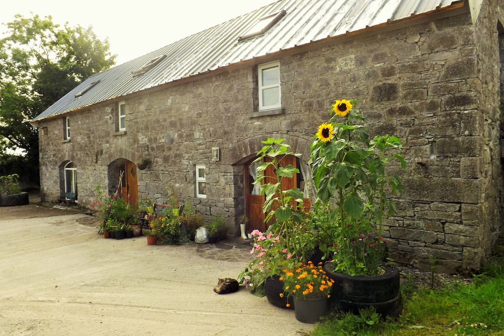 grange pierre maison irlande