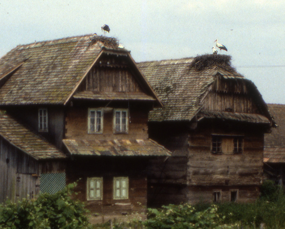 maisons traditionnelles de Lukavec