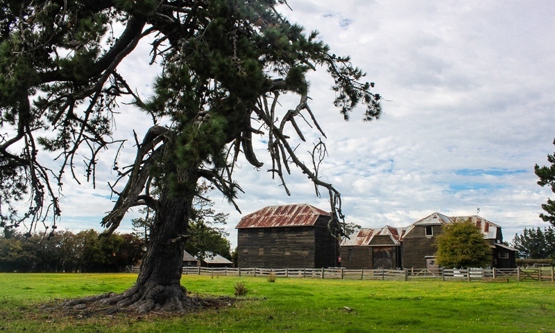 Brickendon Estate tasmanie