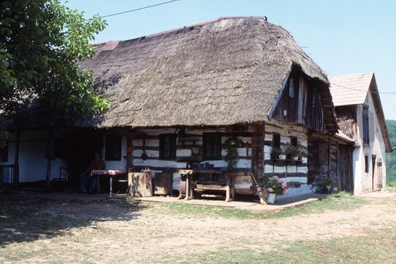 Maison traditionnelle en bois à Dolenjci