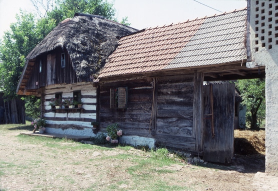 Maison traditionnelle en bois à Dolenjci