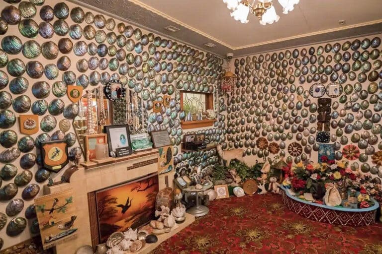 Paua House