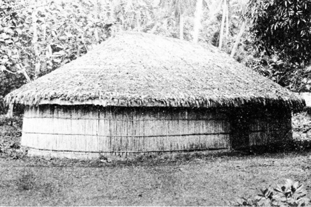 fare traditionnel de polynesie