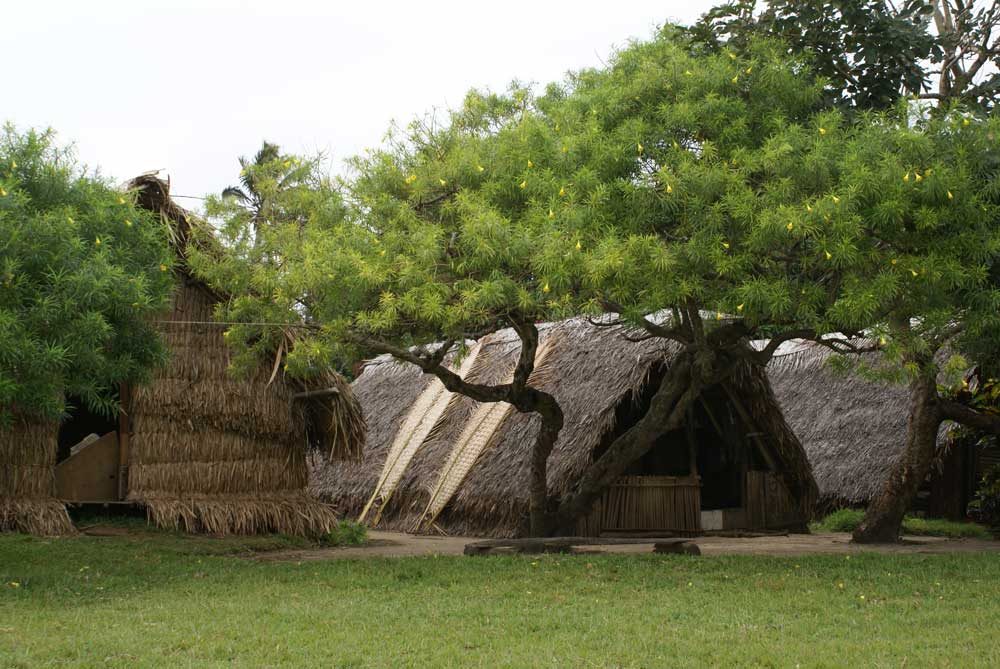 maisons traditionnelles vanuatu