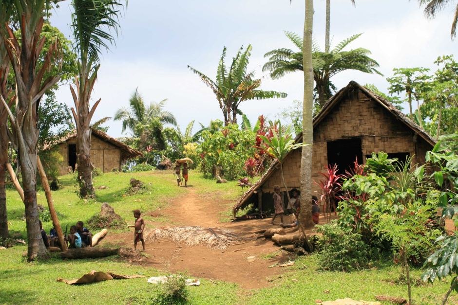 maisons traditionnelles vanuatu