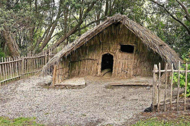 maison traditionnelle maori en nouvelle zelande