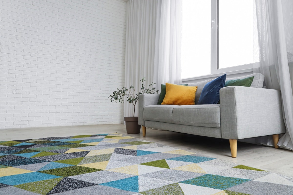 salon décoré avec un tapis