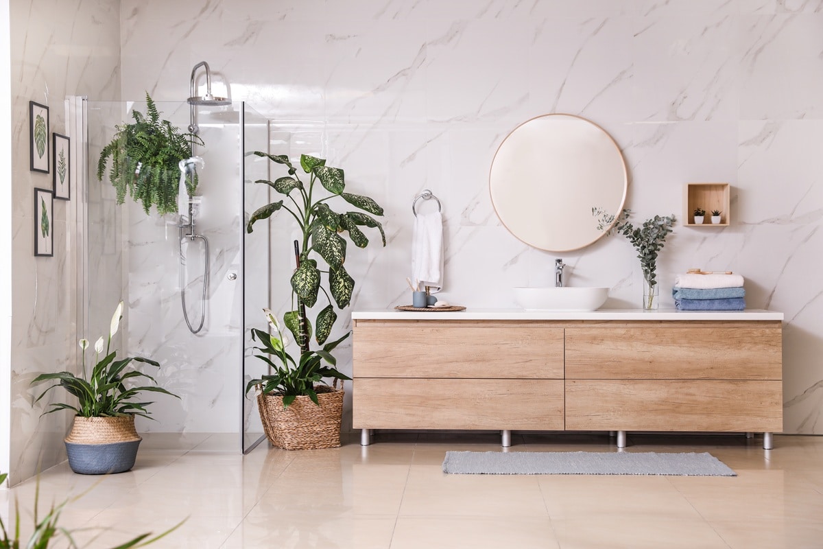 salle de bain bien aménagée