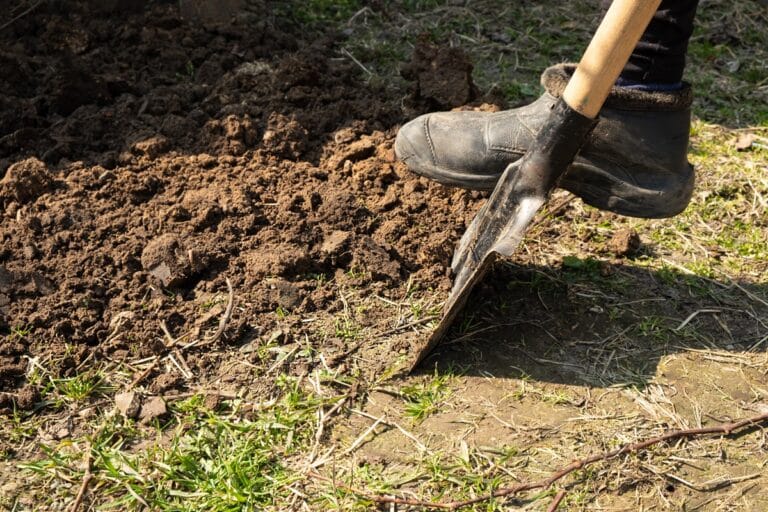 préparer le sol pour un potager