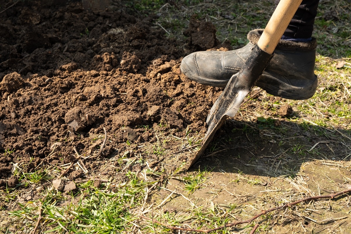 préparer le sol pour un potager