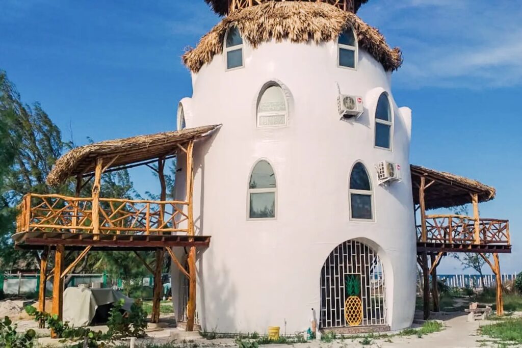 Palapa Pineapple