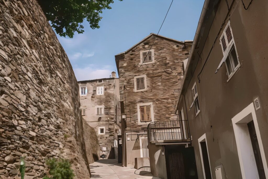 maisons de village à Venzolasca