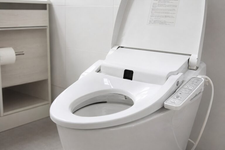 toilettes japonaises