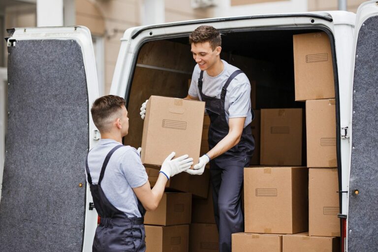déménageurs professionnels
