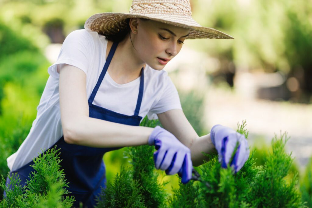 femme taille haie jardin