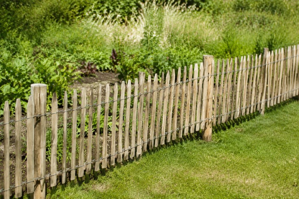 Ganivelle en châtaignier au jardin