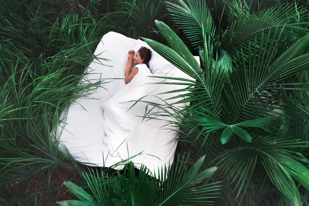 Le matelas naturel : un choix éco-responsable pour votre sommeil