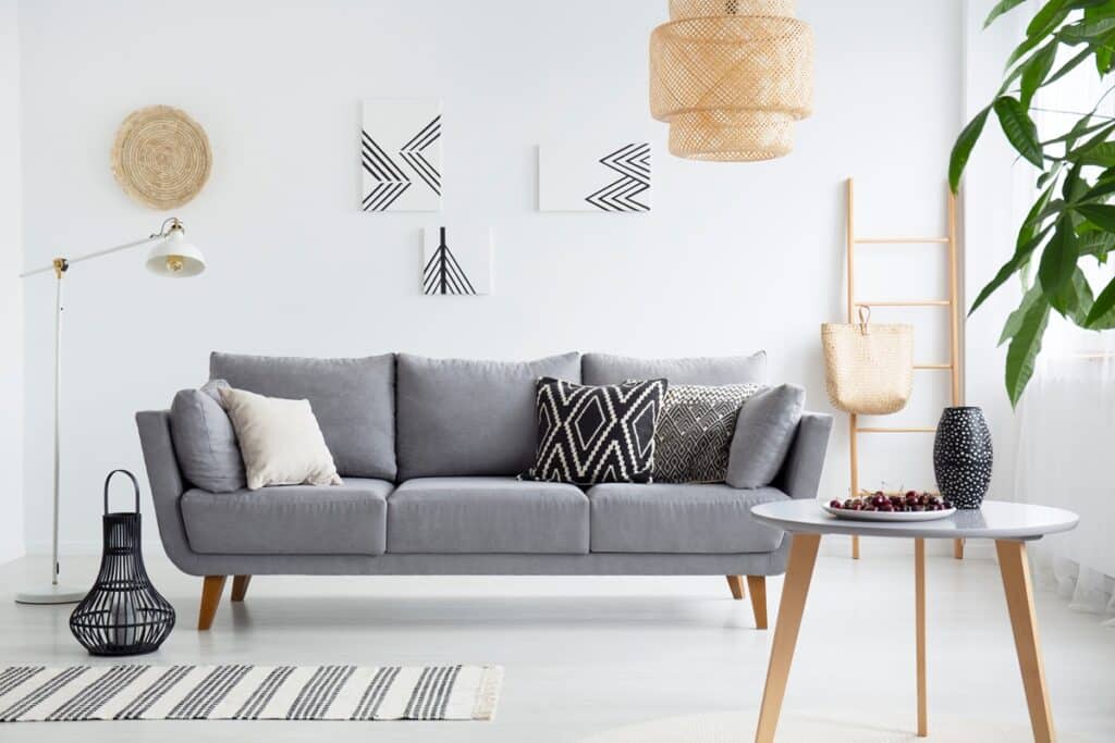 salon scandinave