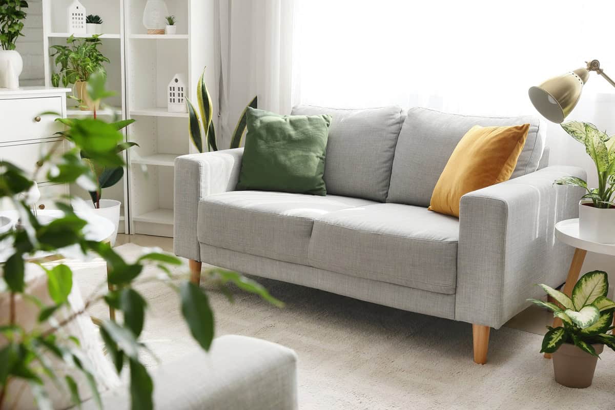 canapé gris dans un salon avec des plantes