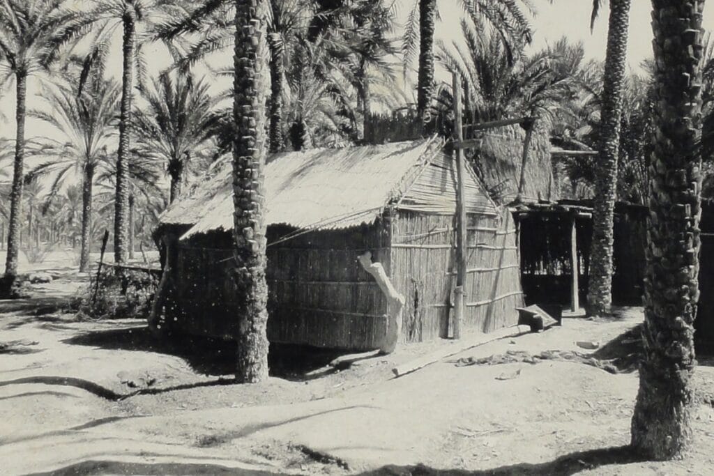 ancienne hutte barasti