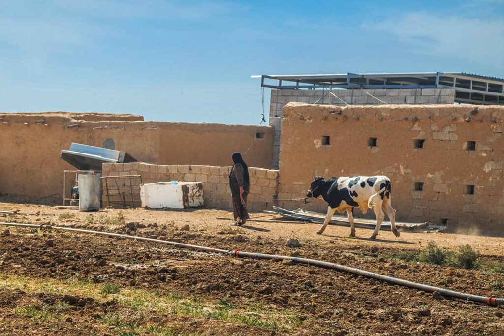 maisons rurales irakiennes en briques de terre crue